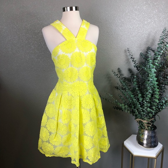 Tahari Dresses & Skirts - CCO 💸Tahari sunflower lace halter dress 12
